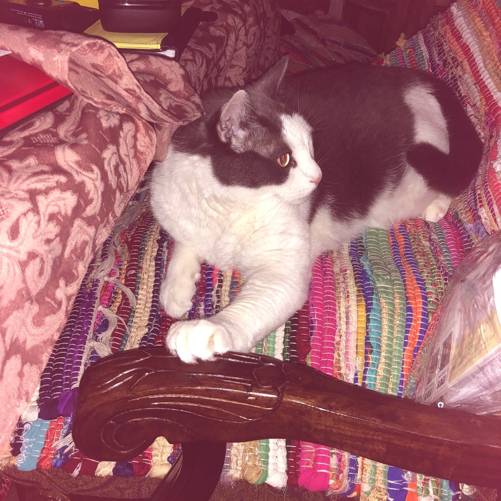 Meet your Posher, Andrea